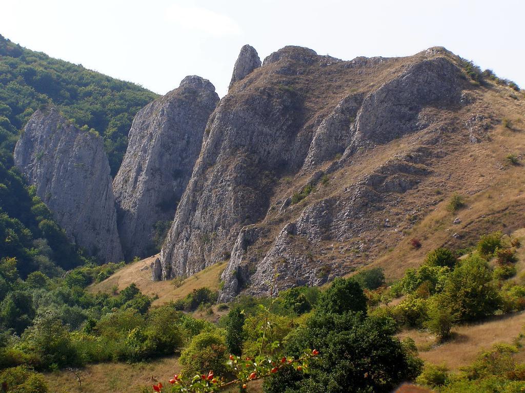 Cabana Poiana Galdei Экстерьер фото