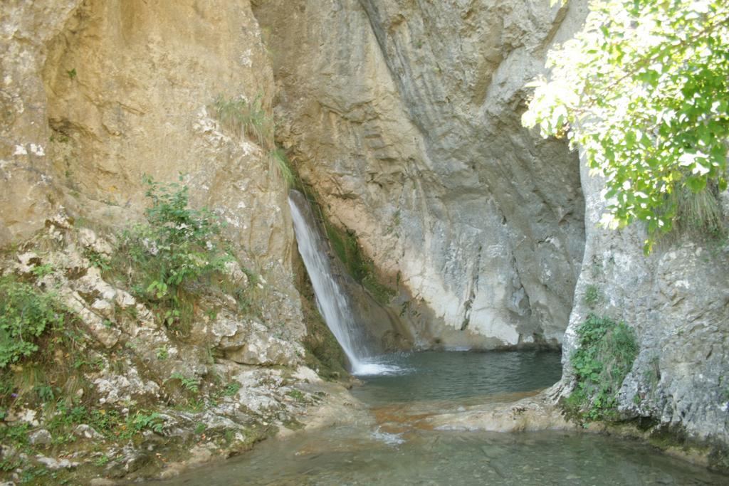 Cabana Poiana Galdei Экстерьер фото
