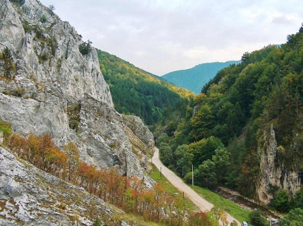 Cabana Poiana Galdei Экстерьер фото