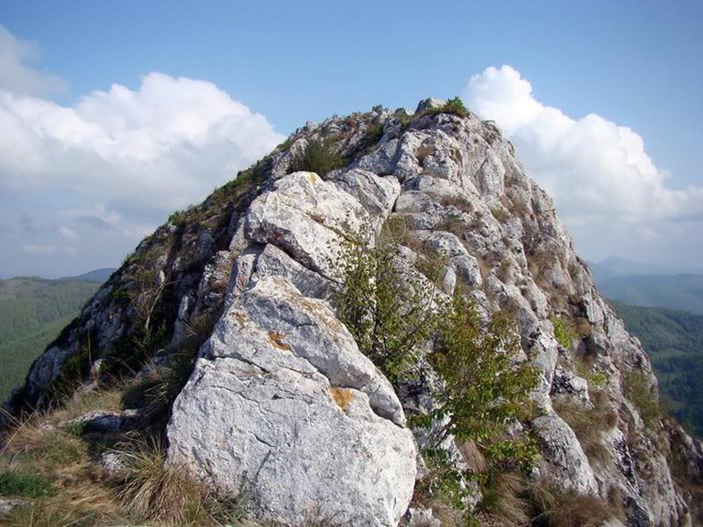 Cabana Poiana Galdei Экстерьер фото