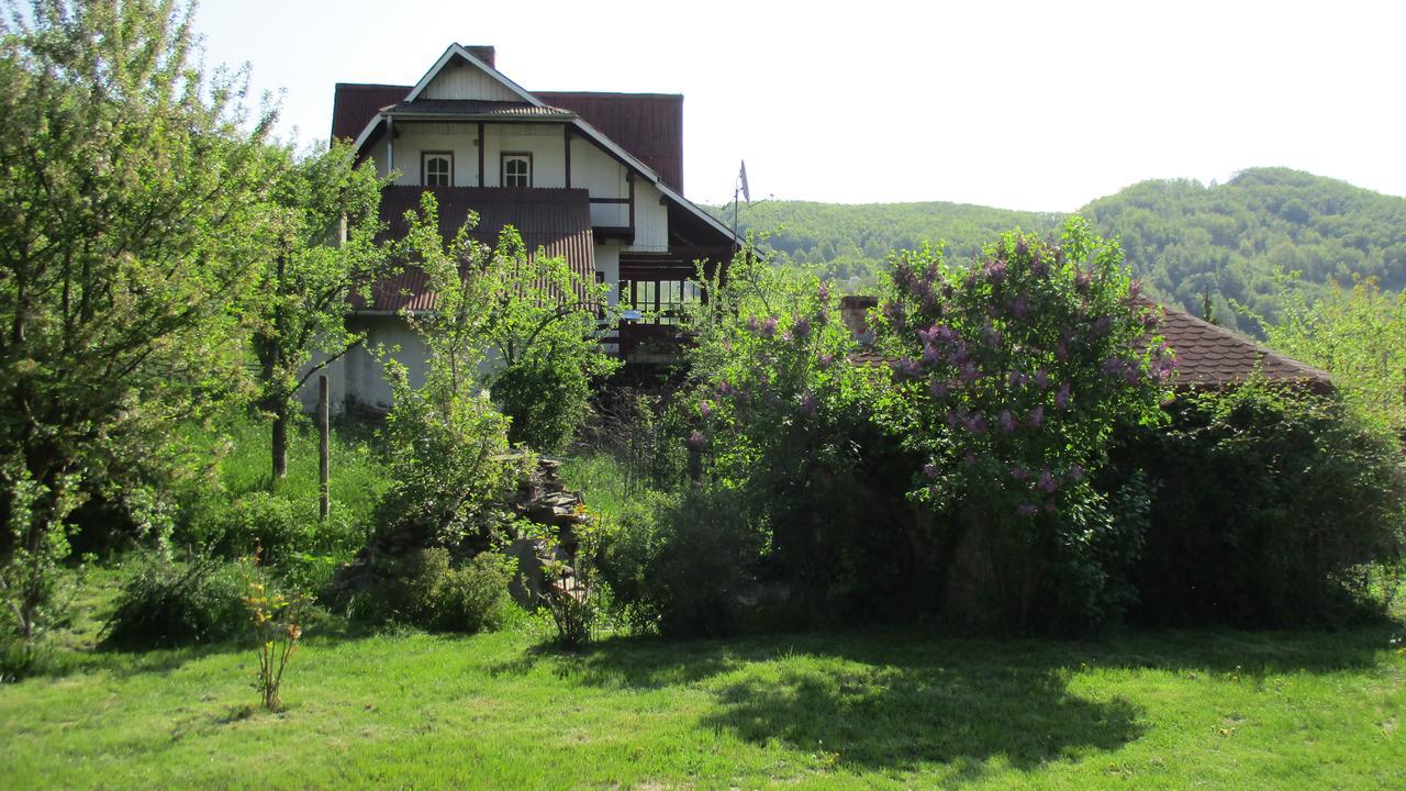 Cabana Poiana Galdei Экстерьер фото