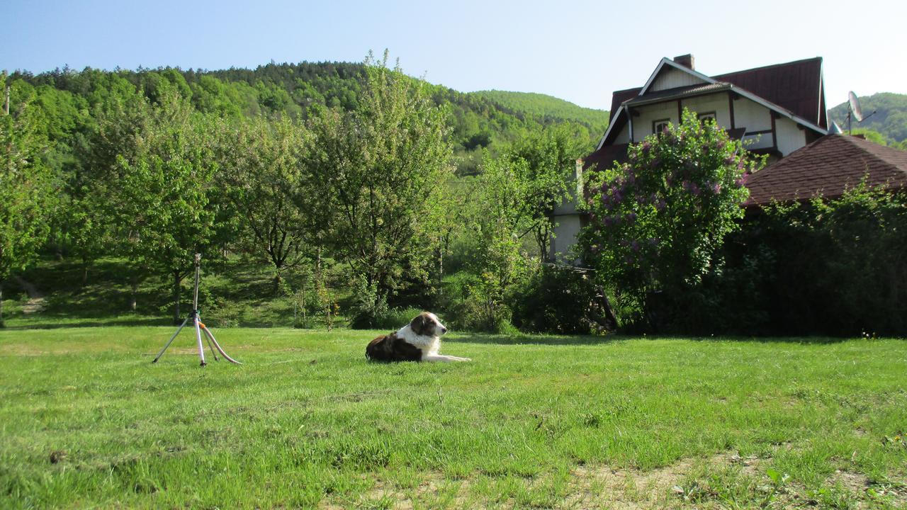 Cabana Poiana Galdei Экстерьер фото